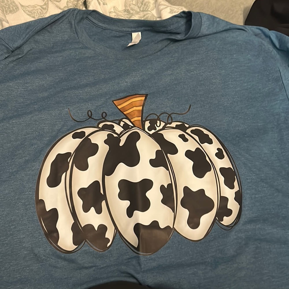 Bella Canvas Blue Pumpkin tshirt sz 4X